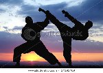 Иванович боевые искусства видеоуроки