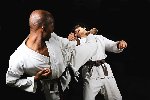 Дзюдо видео для