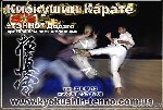 Лыжи каратэ и рукопашный бой крайнем