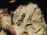 Самоучитель боя