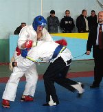 Боевые искусства скачать западные