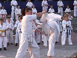 Дороги обучение система кадочникова